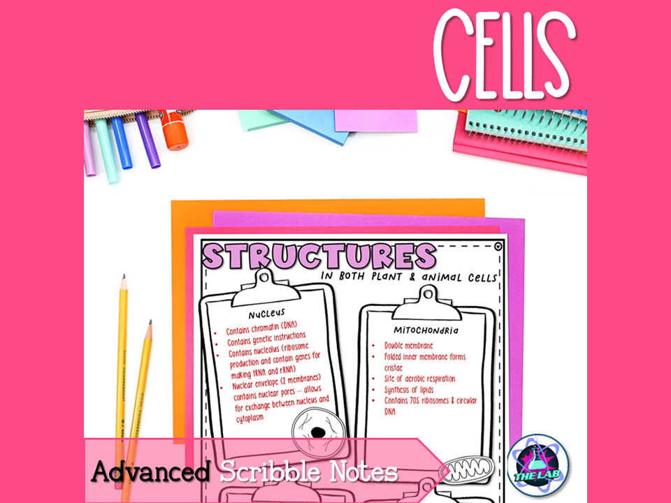 Cells Scribble Notes - Advanced