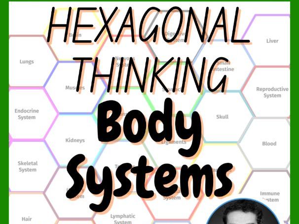 Human Body Systems Hexagonal Thinking Activity | Middle School Science Revision