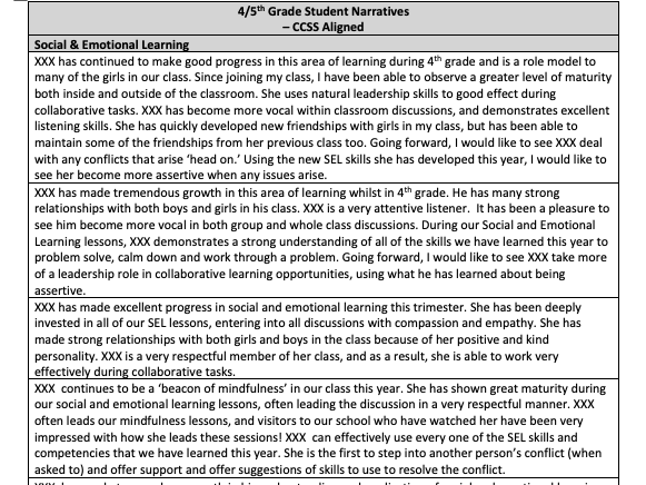 presentation report comments