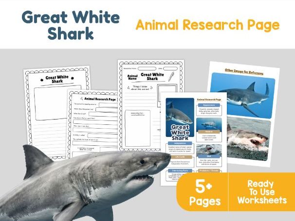 Great White Shark Worksheets | Ocean Habitat, Diet and Adaptations
