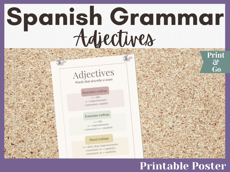 Spanish Adjectives Poster | Masculine Feminine Plural Endings | GCSE Spanish
