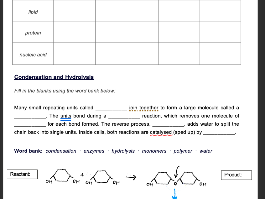 Unit 3-5 IGCSE Biology