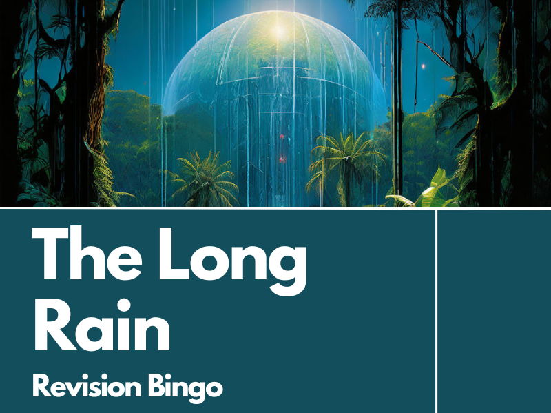 The Long Rain Review Bingo Game
