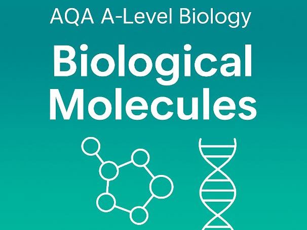 A Level Biological Molecules Activity Pack