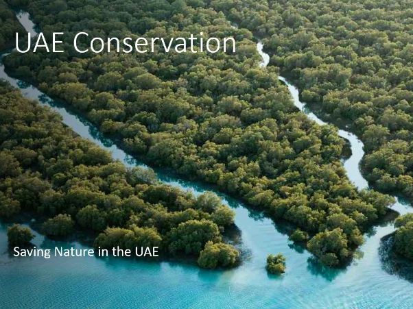 Conservation in the UAE – Protecting Nature and Endangered Species (Grade 4–5 UAE Social Studies)