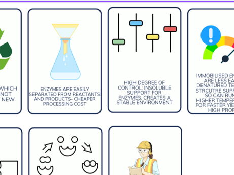 Immobilised enzymes card sort