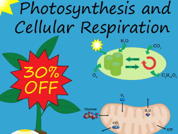 Photosynthesis and Cellular Respiration MEGA Bundle