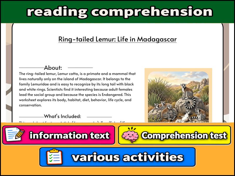 Ring-tailed Lemur: Life in Madagascar  & Comprehension Test