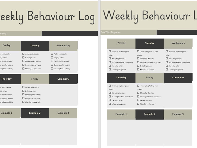 Behaviour log