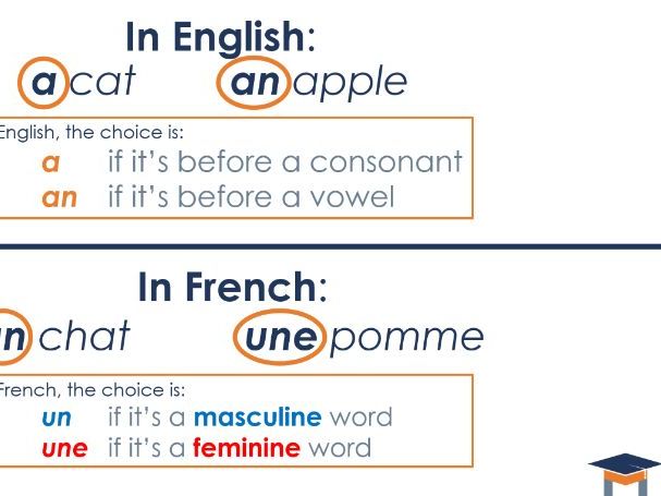 French - An introduction to gender