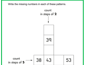 Y2 Maths SATS and Reasoning Questions