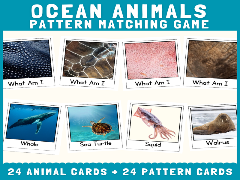 Ocean Animals Skin & Body Pattern Matching | Cut and Match Science Activity