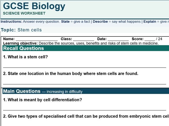 AQA GCSE Biology Stem Cells Worksheet with Answers | Differentiation, Uses, Risks & Ethics