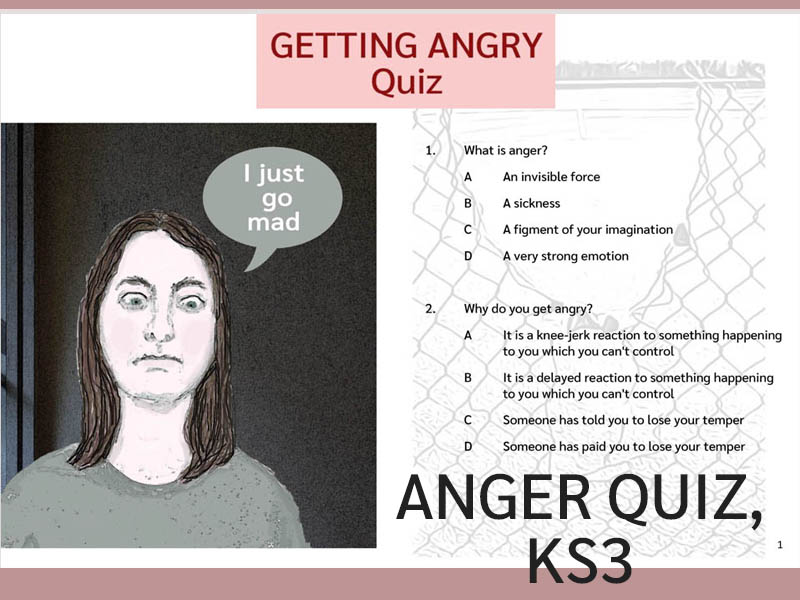 Anger Quiz, PSHE (UK)
