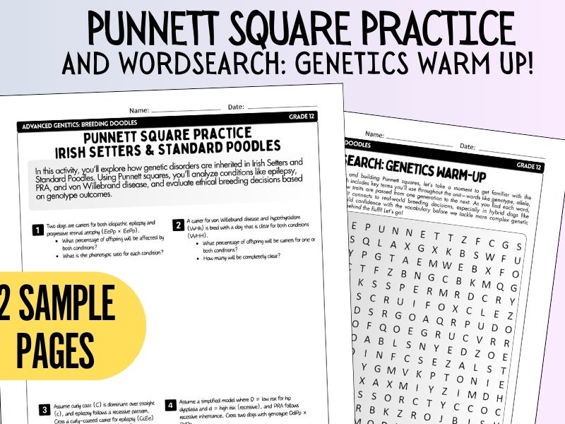 Free Applied Genetics Dogs: Dihybrid Worksheet, inheritance, Punnett squares