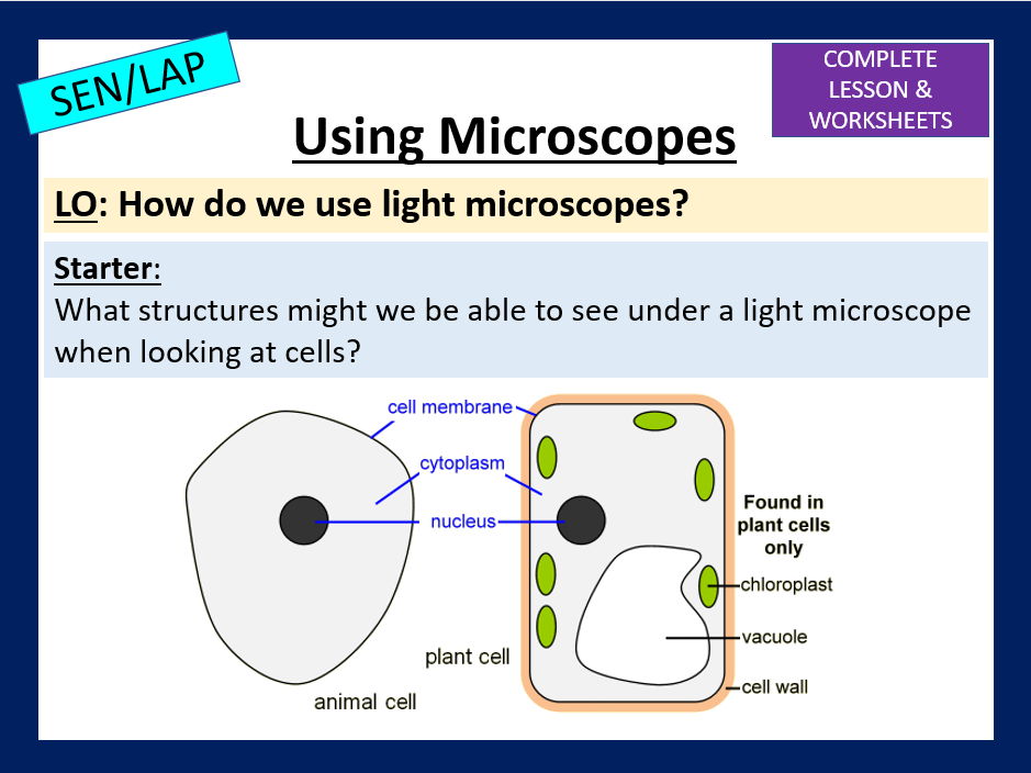 Magnification Calculations - SEN/LAP