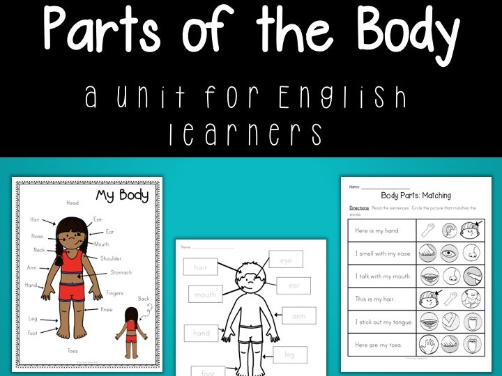 Parts Of The Body ESL Unit Teaching Resources