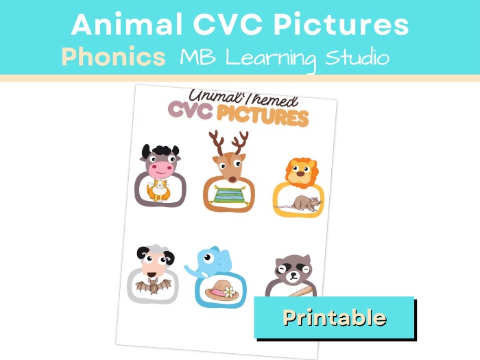 Animal CVC Pictures  EYFS | KS1 | Pre-K | Kindergarten