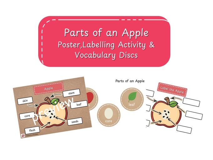 Parts of an Apple Poster, Labelling Activity & Vocabulary Discs