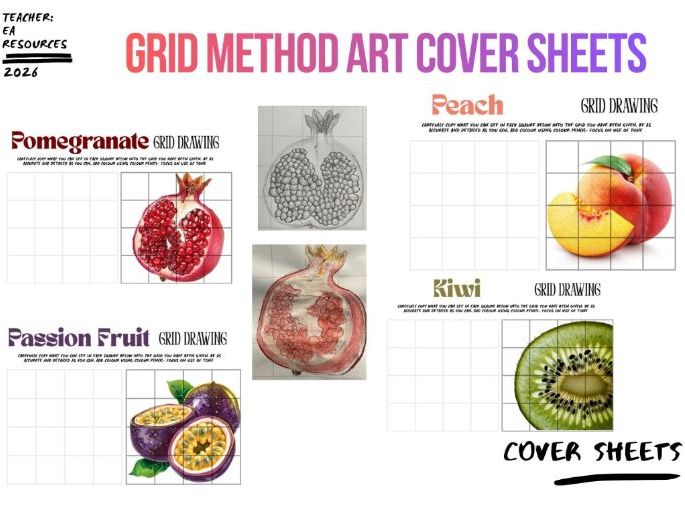 Grid Method Drawing Worksheet | Fruit Study | KS3 & KS4 Cover Lesson on Proportion