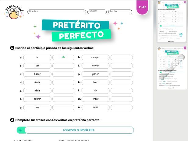 Spanish Pretérito Perfecto Worksheet (Past Tense)