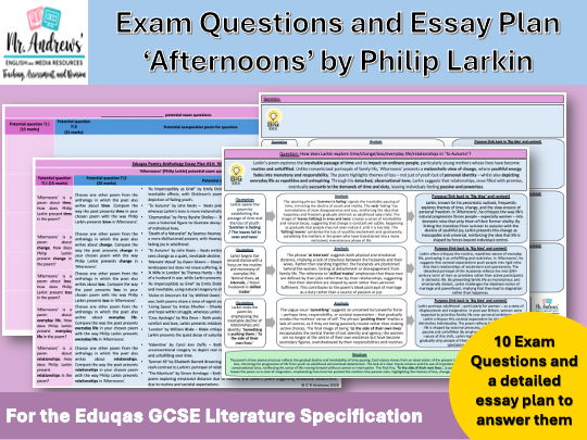 'Afternoons' GCSE Exam Questions and Essay Plan