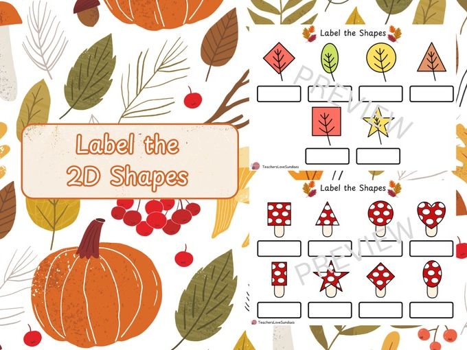 Label the 2D Shapes Woodland