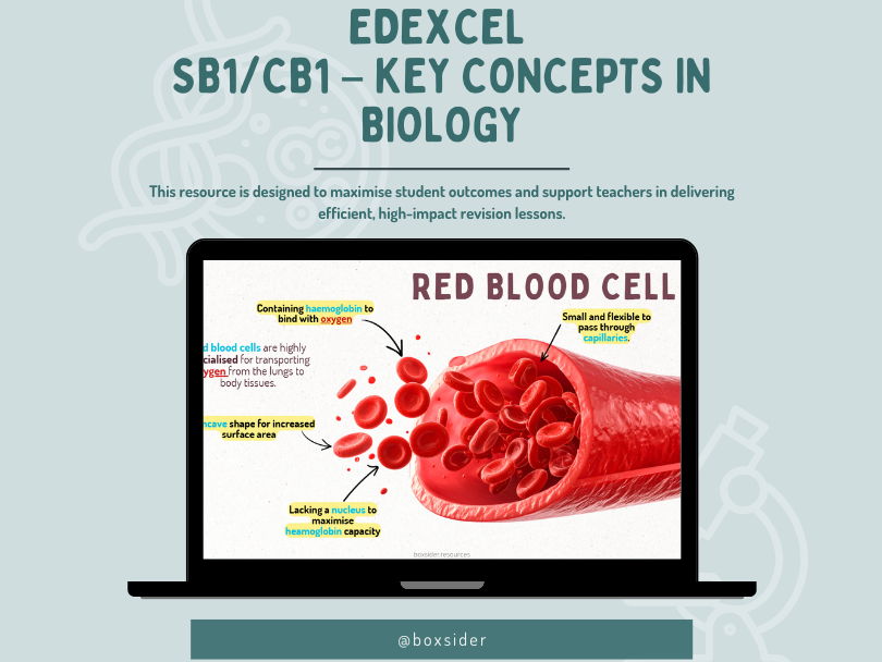 Edexcel GCSE Biology SB1 CB1 Key Concepts FULL Revision PowerPoint (Cells, Enzymes, Transport)
