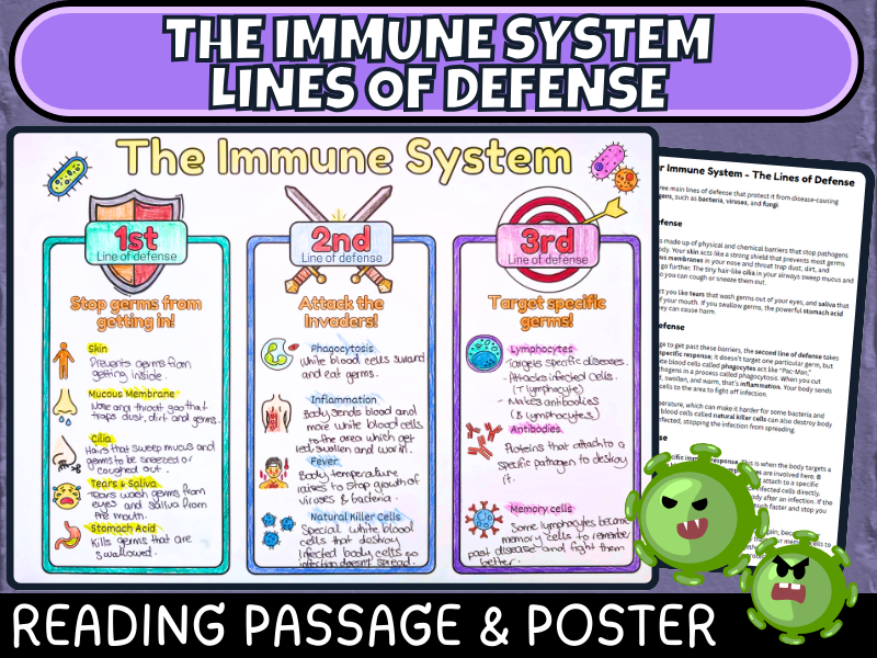 Immune System Poster: Three Lines of Defense - Biology Science