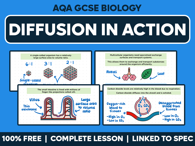 GCSE AQA Biology Complete Lesson - Diffusion in Action