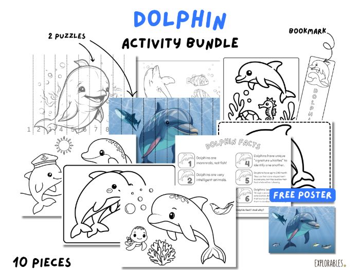 Dolphin Activity Bundle World Dolphin Day Colouring Pages Puzzles Dolphin Bookmark Free Poster Fun