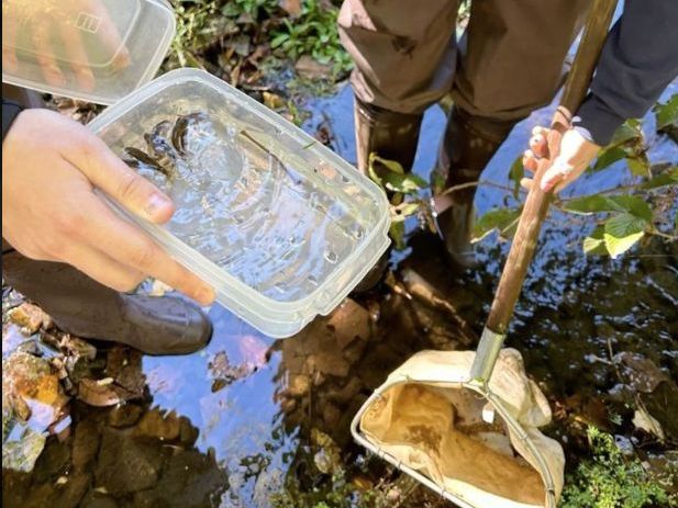 ESS unit 2 Ecology Investigating ecosystems
