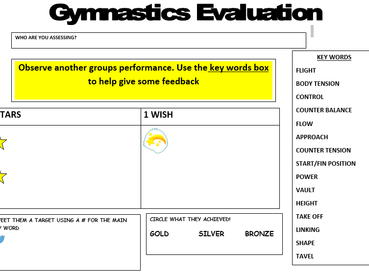 Gymnastics evaluation  ws and medal goals