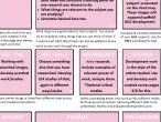 Project outline sheet for student use