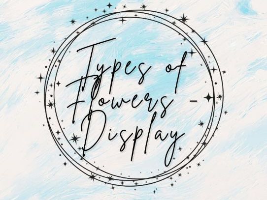 Display - Types of Flowers