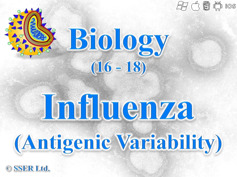 BioA_3.2.4 Antigenic Variability - Influenza