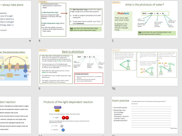 Photosynthesis, the light dependant reaction