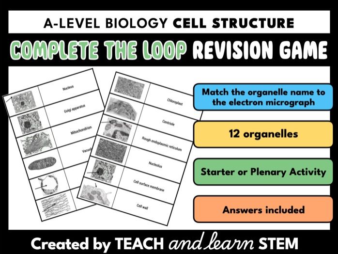 Organelle Loop Card Sort Game | A-level Biology | Cell Structure