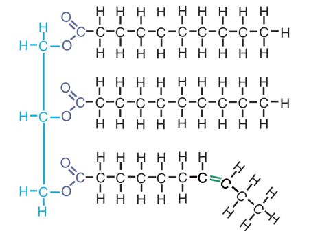 AQA AS & A-level Biology (2016 specification). Section 1 Topic 1: Biological molecules (SAMPLE)