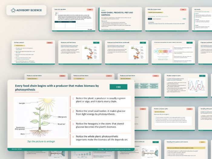 AQA GCSE Biology B7 Ecology | 15 Lesson Presentations and Topic Test