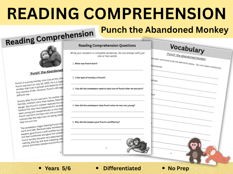 Punch the Monkey Reading Comprehension | Non-Fiction KS2 | Year 4–5 Differentiated Worksheets & Acti