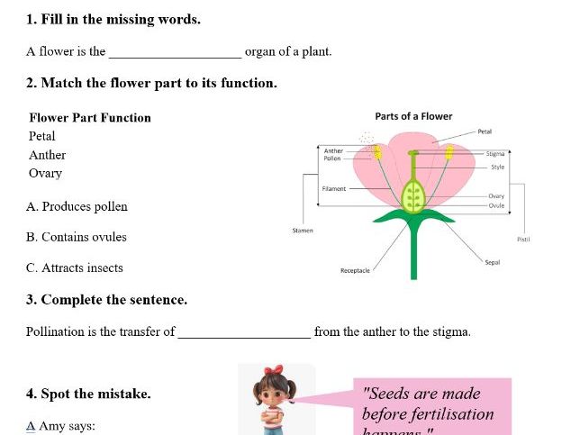 KS3 Activate Biology – Retrieval Practice: Plant Reproduction with answers