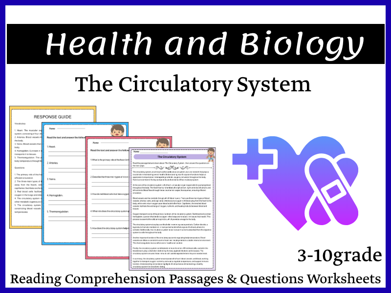 The Circulatory System Reading Comprehension Passages & Questions Worksheets