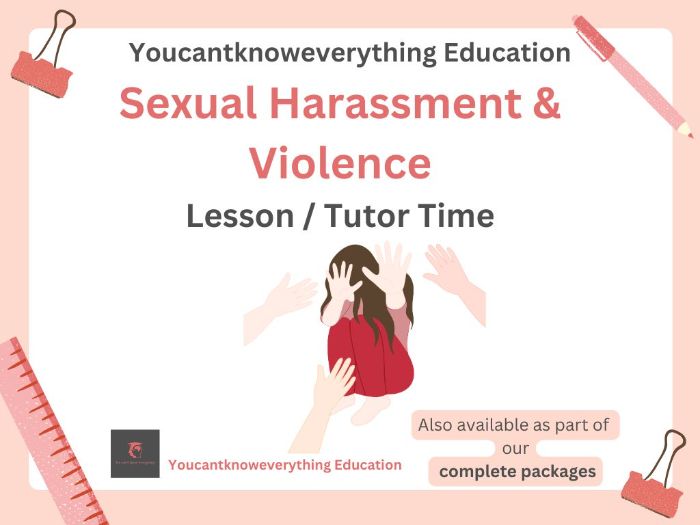 Sexual Harassment & Violence PSHE