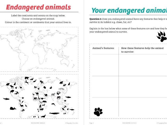 Endangered Animals Student Research Booklet Teaching Resources