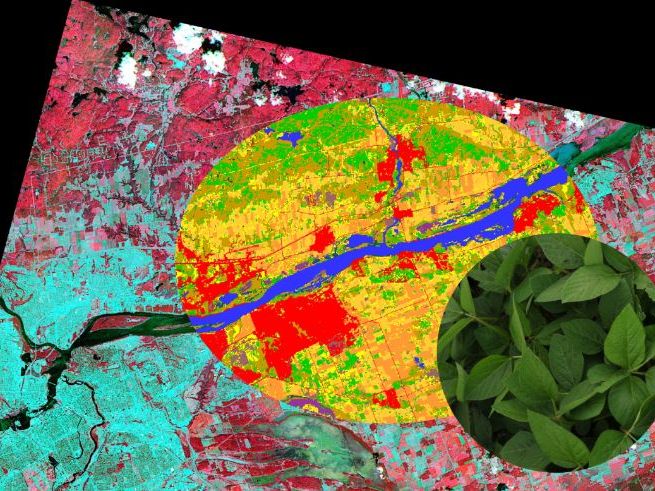 KS4 & KS5 geography: How can remote sensing make agriculture more sustainable?