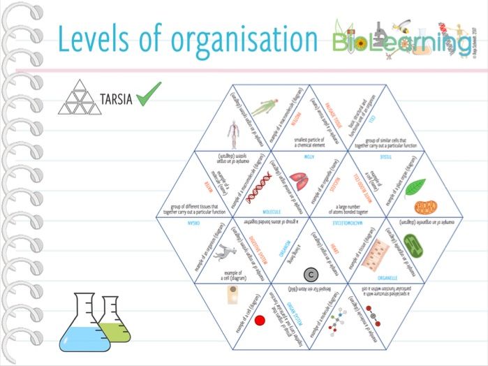 Cells, tissues, organs levels of organisation Tarsia (KS3/4