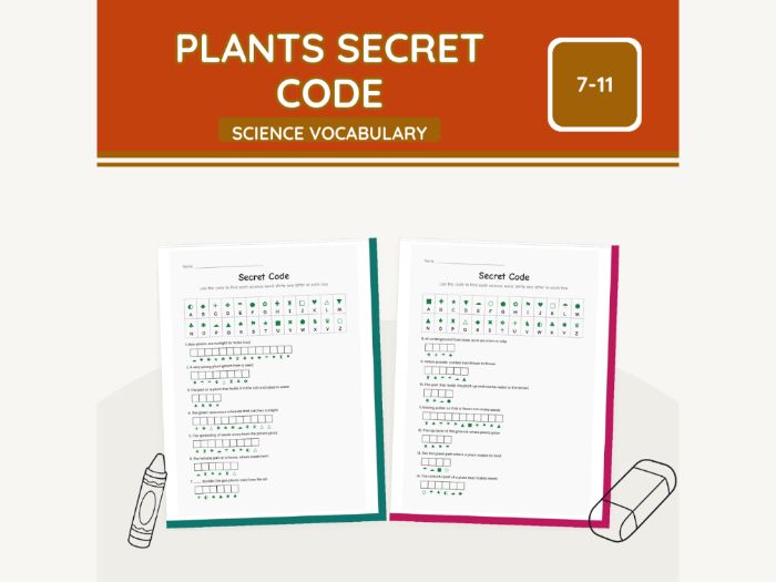 Plants Secret Code KS2 Science | 7 Sheets