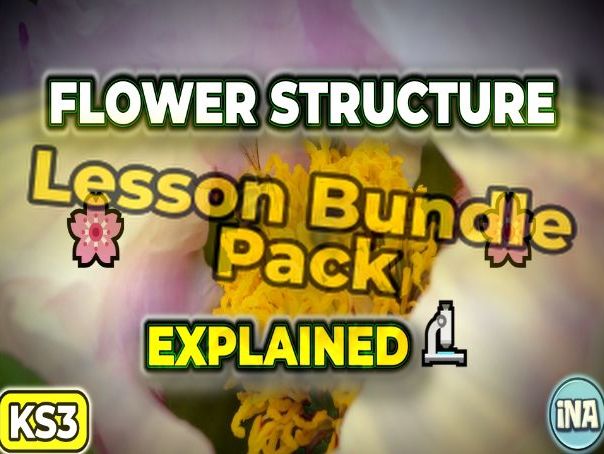 Flower Structure - Complete KS3 Biology Lesson Pack