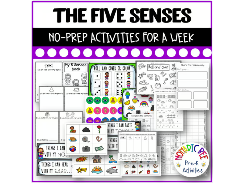 The 5 Senses Activities for a Week!